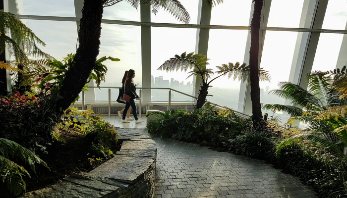 新蔡疫情防控消息最新 新蔡疫情防控消息最新