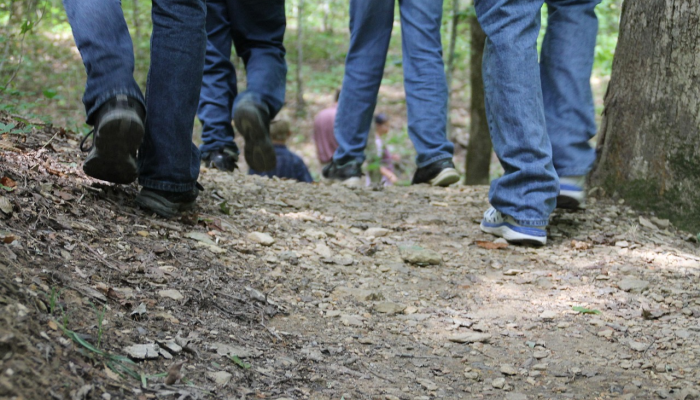 泾川镇疫情通告最新 泾川镇疫情通告最新