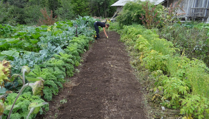 饶平新圩镇疫情最新：安全与健康的守护者