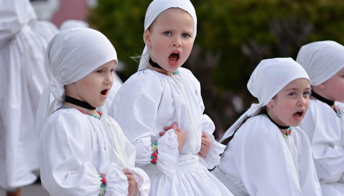 搜索嘉定最新疫情消息：让你安心关注每一步
