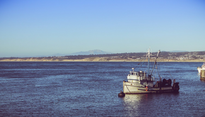 闵行区疫情最新信息:保护健康,从科学防护和健康生活方式开始 闵行区疫情最新信息:保护健康,从科学防护和健康生活方式开始
