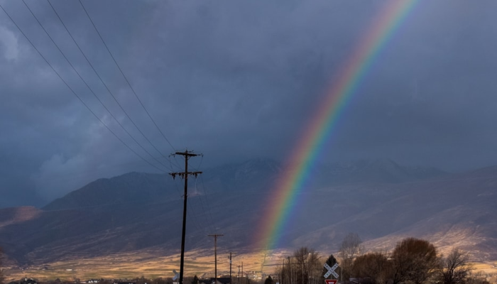 海洋疫情最新数据：全球海洋健康与安全的关键报告