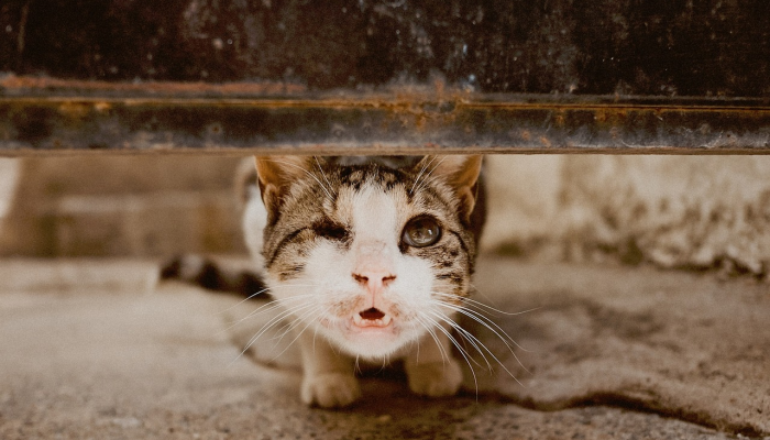 福建佛山最新疫情通报：贴心关怀，共同抗疫