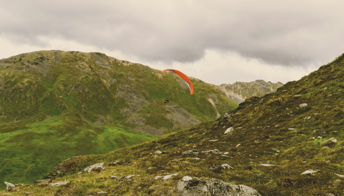 珠光村疫情最新通报图：全面了解疫情最新动态