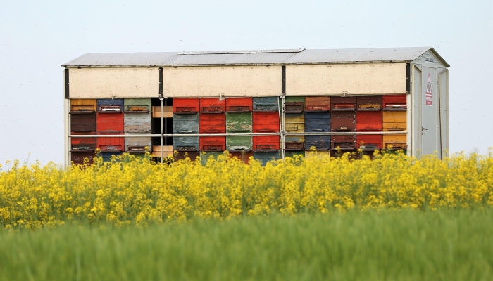 最新疫情山东梁山：从防控到复苏，让我们一起见证这段特殊历史