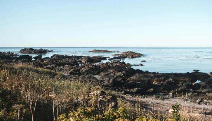 蓬莱长岛疫情最新：健康守护，共同抗疫