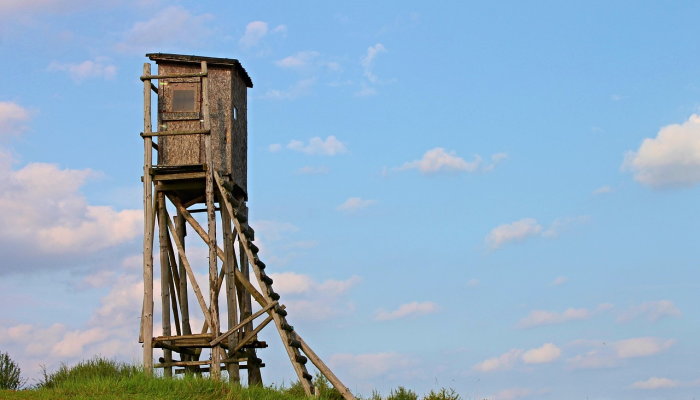 上海疫情路径最新：实时跟踪与未来展望