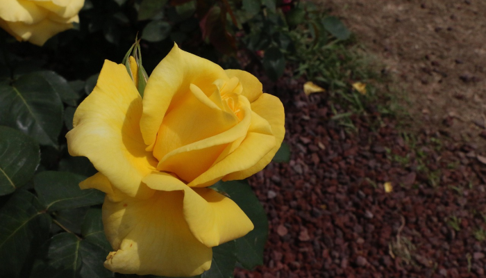 潍坊昌乐疫情政策最新