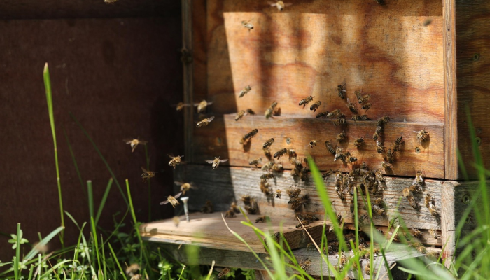 疫情最新报道济宁疫情：最新动态与防护策略