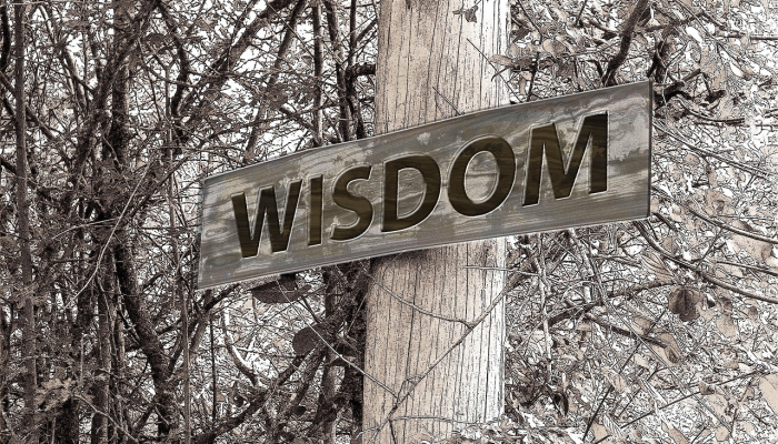 陕北汉中最新疫情情况：防控措施与生活指南