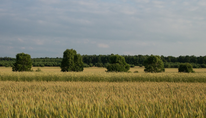疫情最新宣传报道：科学抗疫，携手共赢