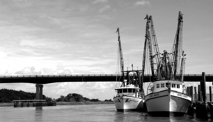 牡丹江鸡西最新疫情：你需要知道的全面信息