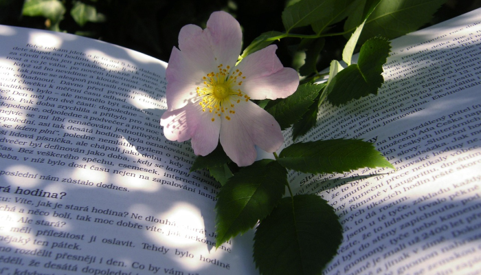 莒南最新动态疫情：稳中求进，共同抗疫